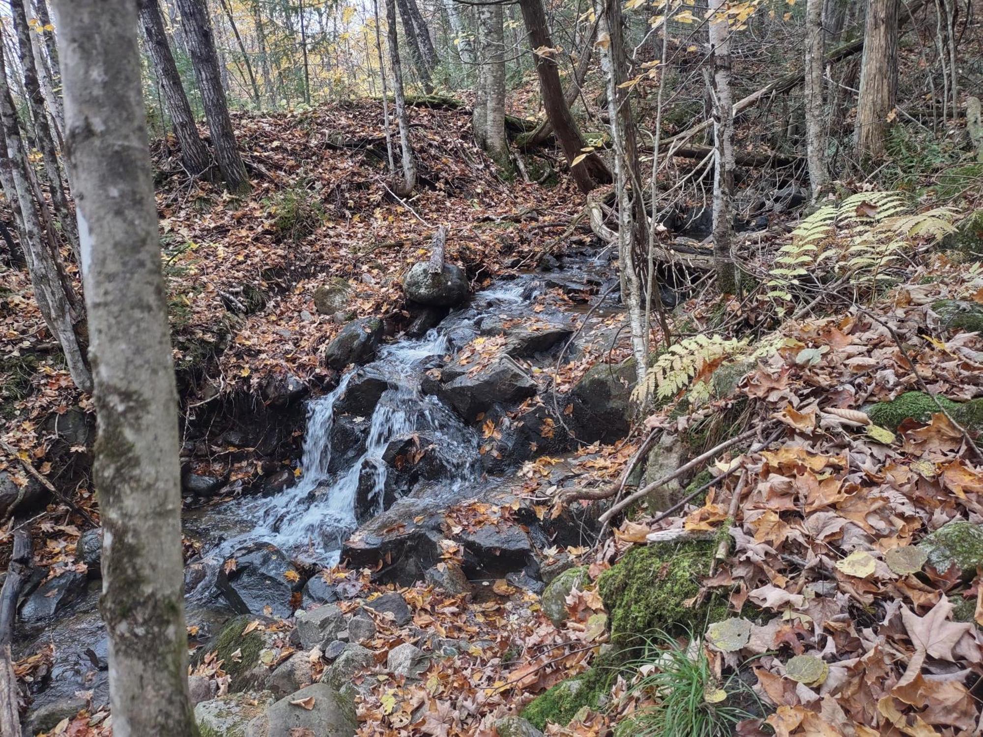 Hebergement De La Montagne St-Roch Saint Roch de Mekinac Eksteriør bilde